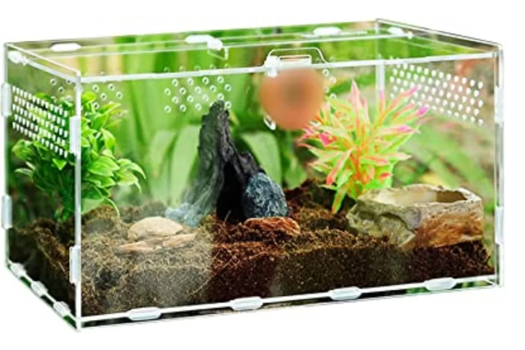 Terrarium pour reptile