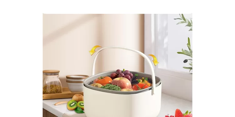 Machine à laver fruits et légumes OLIYA